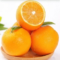 正宗江西贛南臍橙新鮮橙子江西贛南甜橙水果果凍鮮橙批發(fā)包郵